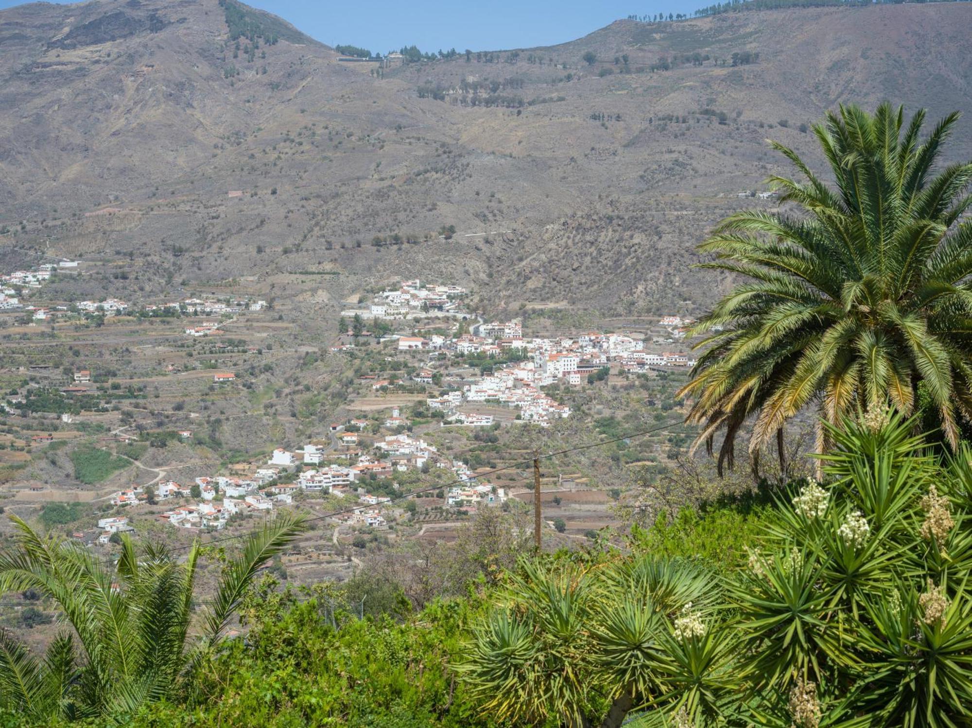 טחדה Chalets Rurales Bentayga מראה חיצוני תמונה